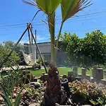 Casa Em Madeira Com Jardim Privado 佩尼契